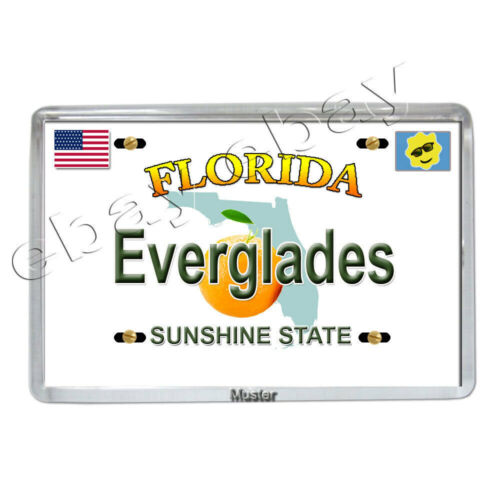 Florida Everglades - Souvenir Foto Magnet -  Fotomagnet - 5mm Acryl Neu - Afbeelding 1 van 1