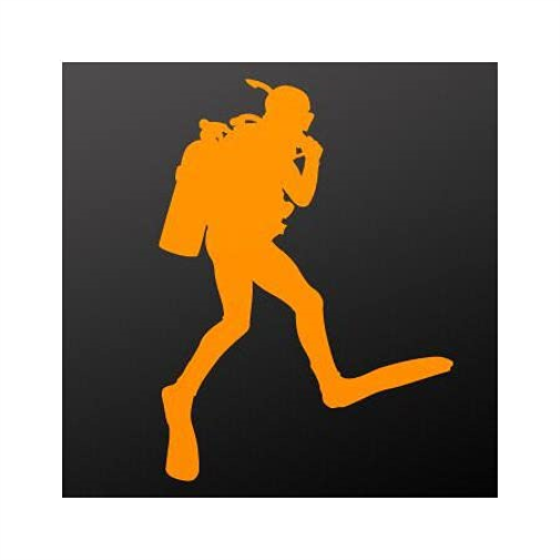 Buzz Rodeo Buzz Rodeo: Victoria (Vinyl LP)