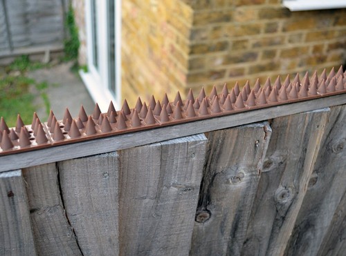 Garden Fence Wall Spikes Security Bird Cat Repellent Intruder Burglar Anti Climb - Picture 9 of 21