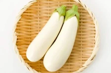 100 White Eggplant Seed for Planting