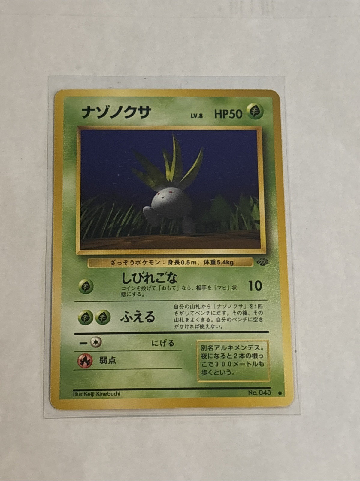 Japanese Pokémon TCG Jungle Oddish No. 043 NM!