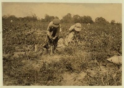 Elbert Hollingsworth,Cotton Pickers,Denison,Texas,Child Labor,Lewis W. Hine