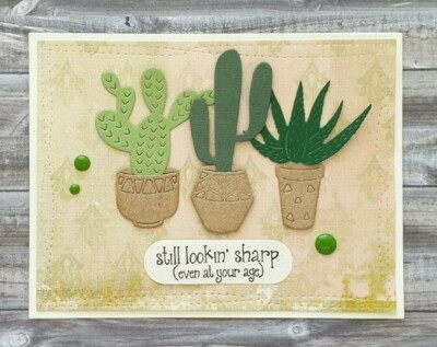 cactus samen Kaktus Samen einfach auszusäen main image 1