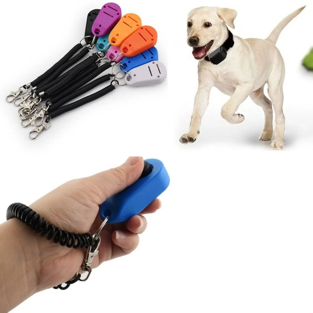 Dog training cheap tools clicker