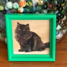 Vintage Cat Picture Upcycled Art Print Chocolate Longhair 6.5x6.5 Cottagecore