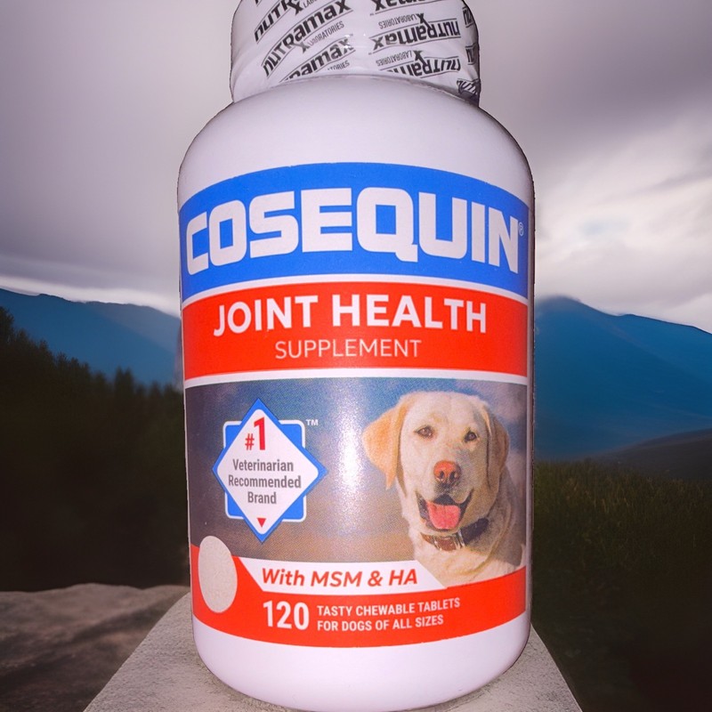 Cosequin Joint Health Chewable Tablets w/ MSM & HA Adult Dogs 120 Count