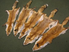 Dealer Lot Special 10 Tanned Red Fox Hide Wholesale Price