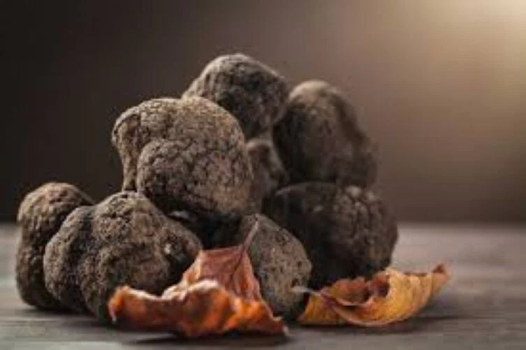 Precious Italian fresh black truffles. Black truffle 295g. 10,4 oz. Mushrooms. - Image 2 of 4