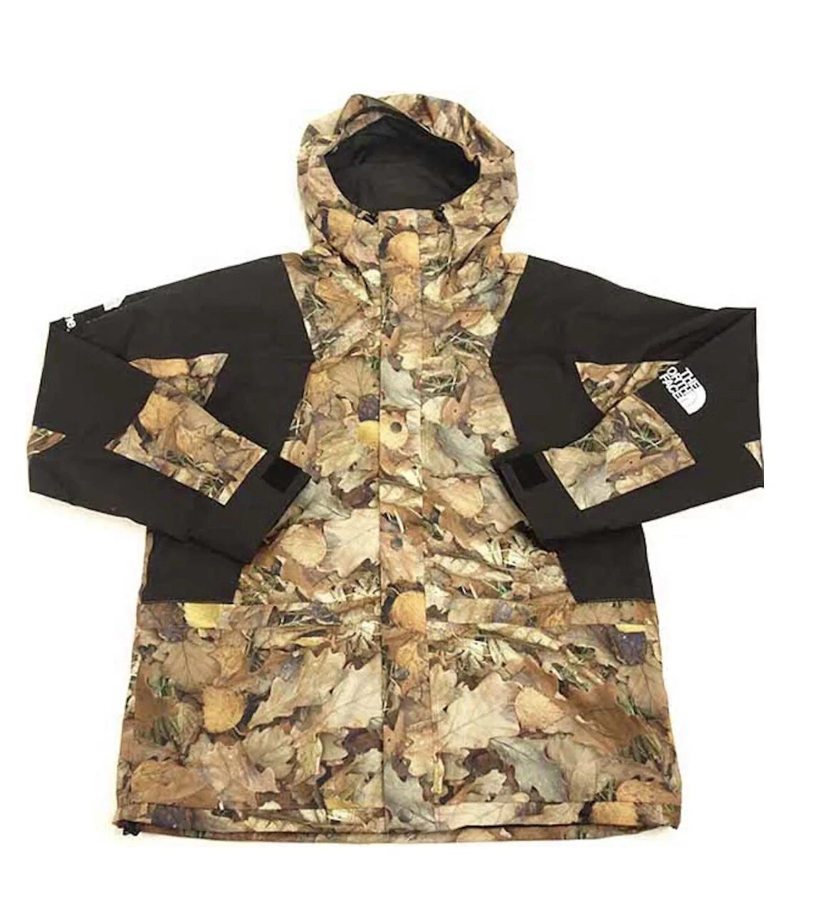Veste de montagne FW16 Supreme New York TNF The North Face Leaves portée 1X