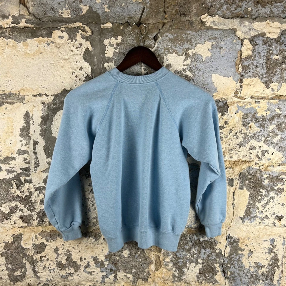 Sudadera De Colección Años 80 Hanes Puffins Animal Raglán Azul Claro Juvenil Grande Foto 2 de 4