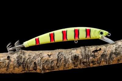 Nemo Squid Wobbler Octopus Fishing Lures Cuttlefish 110 MM 17 GR 1.5 Meters