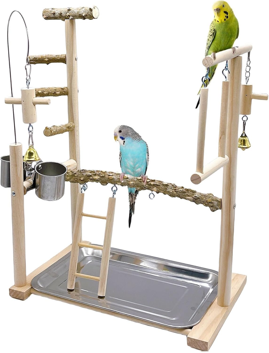 Bird Playground Parrot Playstand Bird Perch Stand Gym Natural Wood