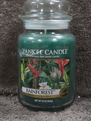 Yankee Candle Large Jar Rainforest 2019 Deerfield selten schwer zu finden