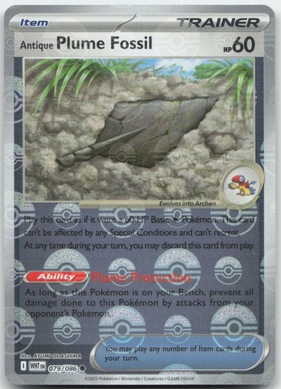 Antique Plume Fossil