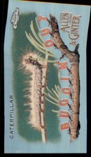 2020  ALLEN AND GINTER CHROME MINI BUGGIN OUT #MBOC18 CATERPILLAR