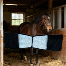 Steigb&uuml;geltasche mit F&auml;chern Steigb&uuml;gel-Aufbewahrungstasche f&uuml;r Turnier, Reiter