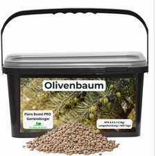 Olivenbaum Dünger mit Langzeitwirkung 1 Kg | Flora Boost PRO NPK 8-4-5