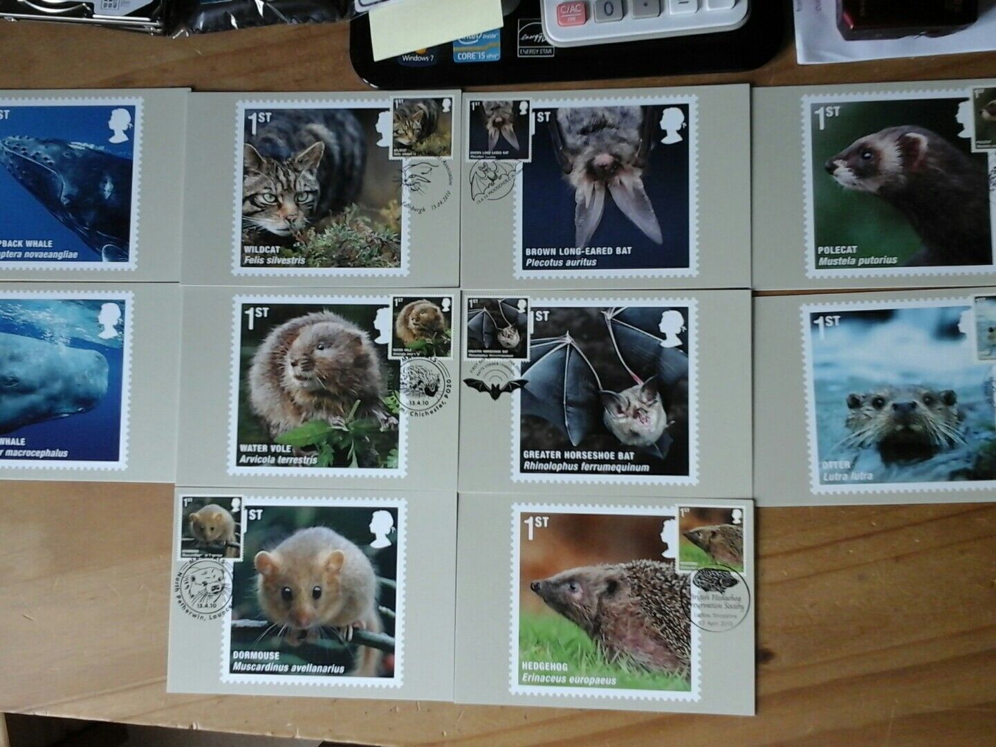 2010 MAMMALS - PHQ 335 FULL SET 10 CARDS OFFicial mail order STAMP SPEC Import OF FRONT FDI