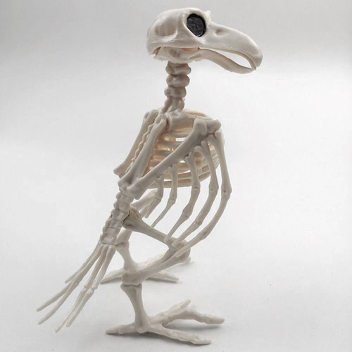 Plastic Crow Skeleton Animal Skeleton Bones Skeleton Raven Halloween Decoration