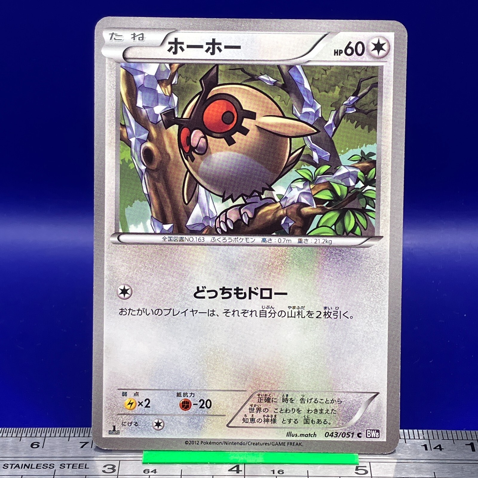 Hoothoot Pokemon Card 1st Ed 2012 043/051 BW8 Nintendo TCG Japanese #119a
