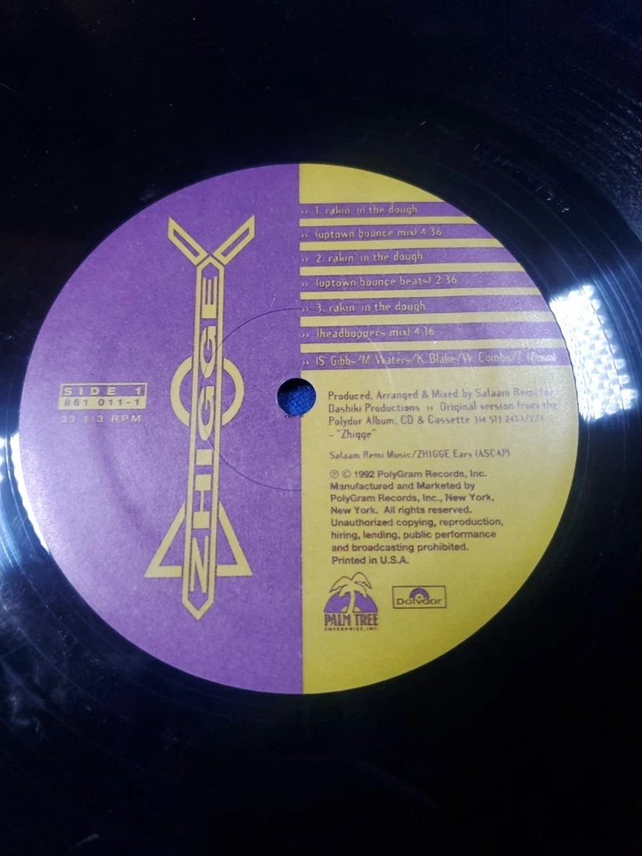 Zhigge ‎– Rakin' In The Dough LP 1992  Vinyl LP 1992 Promotional Record Foto 4 de 4