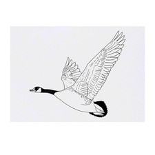 'Flying Goose' Temporary Tattoos / Transfers TO00041902