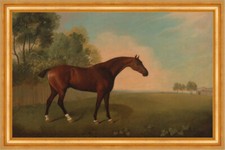 A Bay Horse in a Field Boultbee Pferde Tiere Weide Wiese Wald B A3 00039 Gerahmt