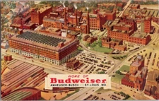 Postcard Home of Budweiser Anheuser Busch St Louis MO Brewery Factory Aerial