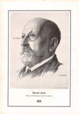 Eduard Suess - 1912 - Historical Art Print ~19x28cm