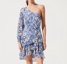 ASTR The Label Floral One Shoulder Chiffon Dress Small Coquette Cottage Fairy