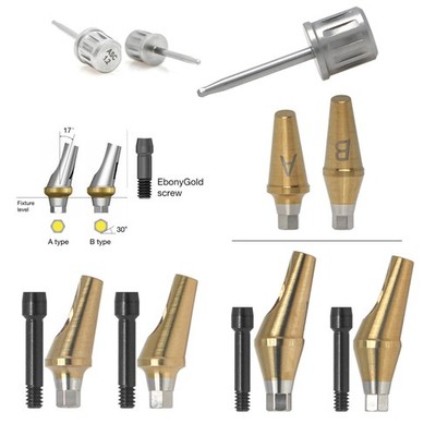 17° Angled Anatomic Abutment Compatible Hiossen ET Mini Hex Platform Osstem TS