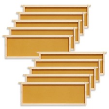 10 Assembled Beehive Frames, Beeswax Coated Foundations for Beekeeping, 6-1/4"