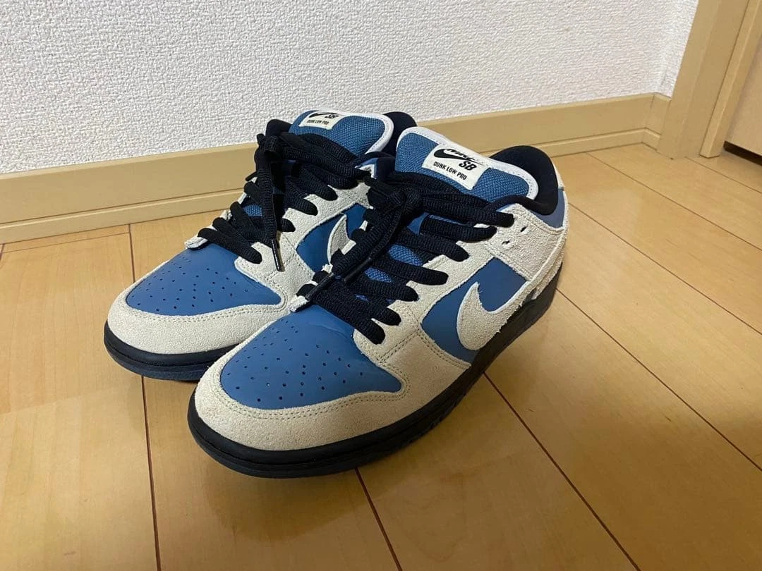 Nike Dunk Pro SB Low Thunderstorm | eBay