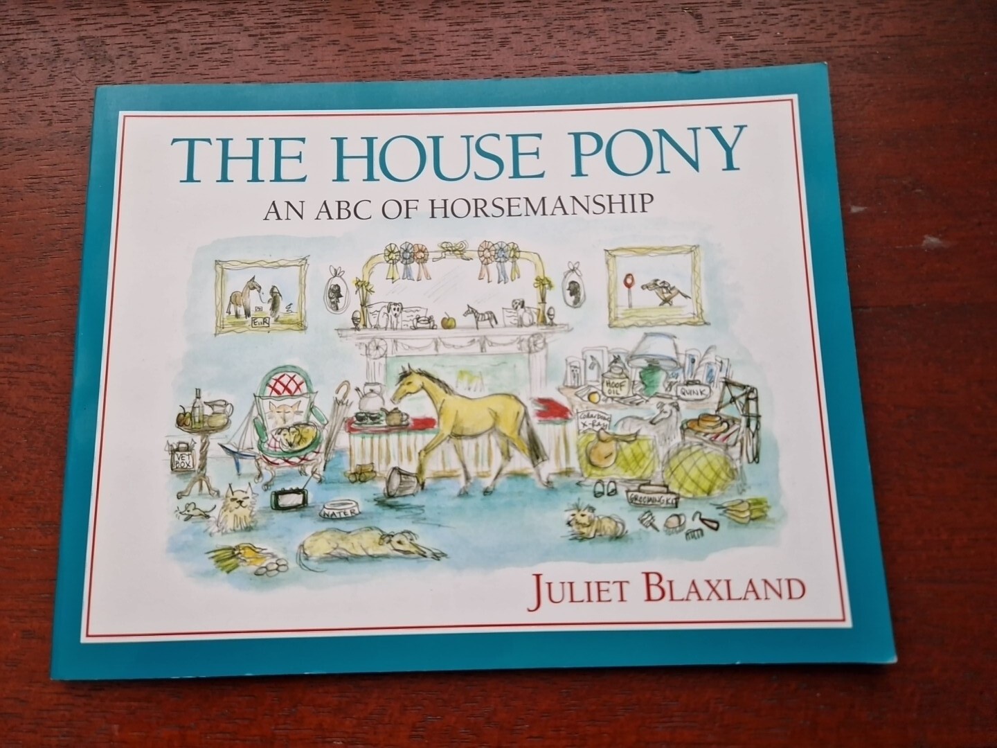 The House Pony An ABC of Horsemanship Juliet Blaxland Horses Ponies Riding book