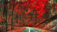 Landscape trees road nature Custom Gaming Mat Desk