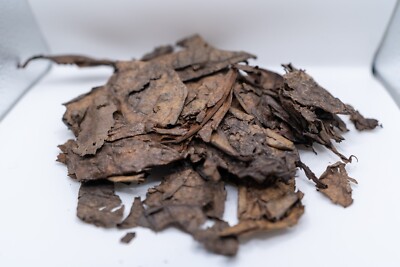 3 oz  Catappa Leaves Fish Aquarium, Shrimp, Frogs (Wholesale Price)