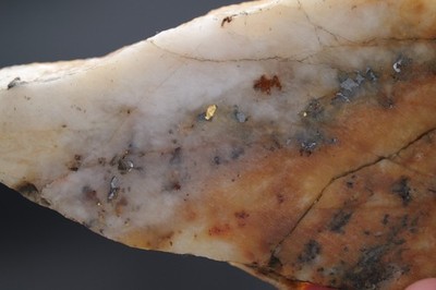 Gold and Telluride Ore Specimen from Jason s Gold Mine (25-0020)