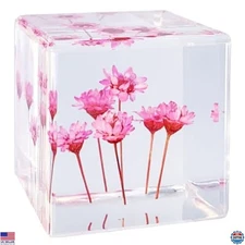 Acrylic Resin Cube Paperweight with 3D Preserved Pink Flowers, 1.58'' Decor