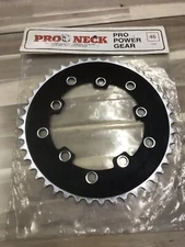 pro neck chainring NICE