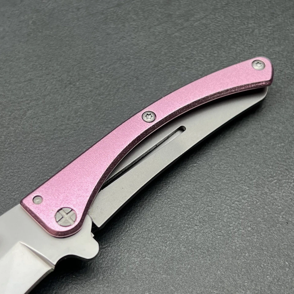 Cuchillo de Bolsillo Plegable Schrade Protector SCH222P Rosa Linerlock Nuevo Foto 3 de 4