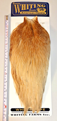 Whiting American Rooster Cape, Honey Dun, Fly Tying