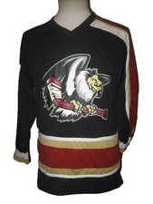 THE BAKERSFIELD CONDORS SCOTT FREEMAN #11 AHL HOCKEY JERSEY PROMO YOUTH MEDIUM