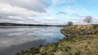 Foto 6x4 Neben dem Eingang zum Dingwall Kanal Dingwall\/NH5458 Die c2017