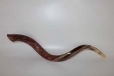 Kudu Yemenite Horn Shofar Size 30"-33" 76-84cm Sound Kosher All Polished