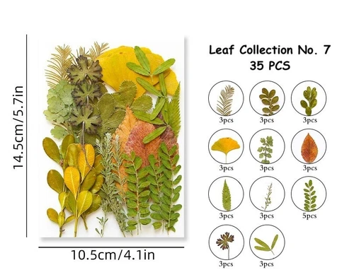 Dried Pressed Flowers Natural Epoxy Resin Candle Nail Art Scrapbooking Craft AU - Picture 68 of 210