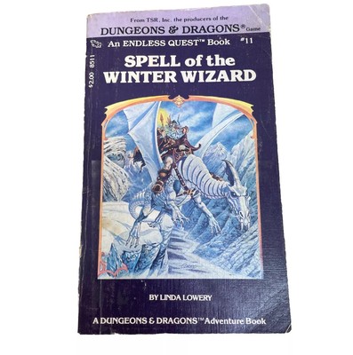 Zauber des Winterzauberers: Dungeons & Dragons Abenteuerbuch von Linda Lowery