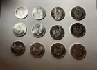 LOT OF 12- Walking Liberty Silver Eagle Dollar - .999  Uncirculated