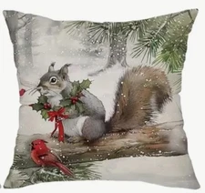 Winter Squirrel Animals Christmas Throw Pillow Cover Winter Holiday Home Decor
