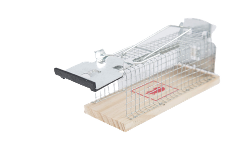 12Pcs Set Mausefallen Aus Holz, Kleine Hölzerne Mausefalle,Wiederverwendbar Schlagfallen Aus Holz,Hohe Schlagkraft Ungiftig Klassisch Mausefalle In - Foto 11