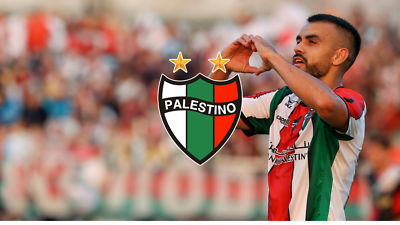 IRELAND PALESTINE x GREEN BRIGADE FOOTBALL/SOCCER JERSEY SPECIAL